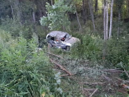 В Тверской области в ДТП с деревом погибла молодая женщина