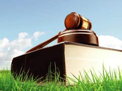 Чиновников, у которых заросли земли, могут привлечь за бездействие к ответственности