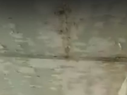 В Кимрской гимназии №2 учащимся на голову падает штукатурка