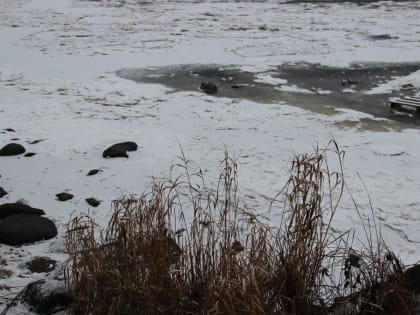 В Твери в Тверце утонул мужчина