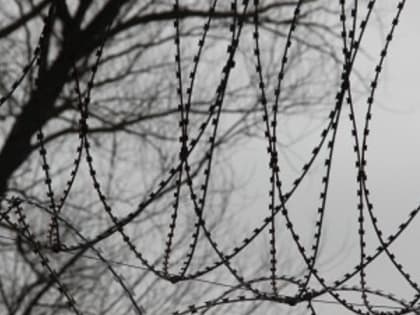 В Нелидово две девушки избили собутыльницу сковородой и ограбили ее