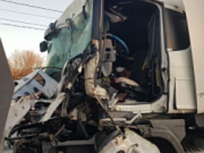 В Ржеве хулиганы сломали уличную библиотеку