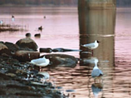 В торговых центрах Твери провели фитосанитарные проверки