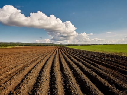 Землевладелец в Красном холме не использует 67 гектаров пашни по назначению