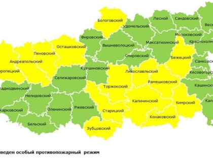 Особый противопожарный режим введён в 14 районах Тверской области