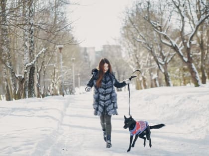 Погода в Твери на выходных будет похожа на начало весны