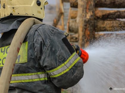 Человек погиб на пожаре под Торопцем