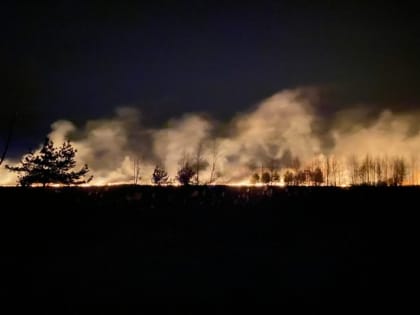 В Тверской области вводится особый противопожарный режим