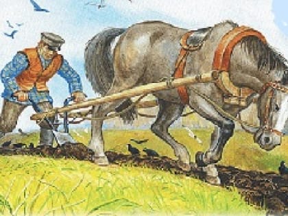 У крупных тверских землевладельцев заросла пашня