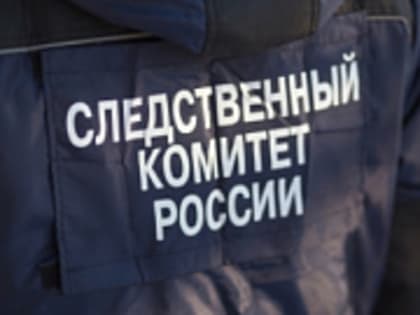 Тело 17-летней жительницы Москвы обнаружили в Торжокском районе