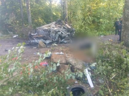 Смертельная авария в Тверской области унесла жизни четырех человек