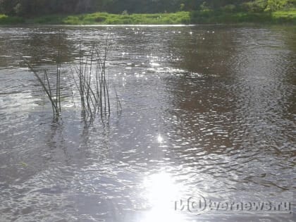 В Тверской области в озере обнаружили тело человека