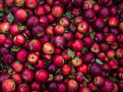 Яблоки подорожали в Твери