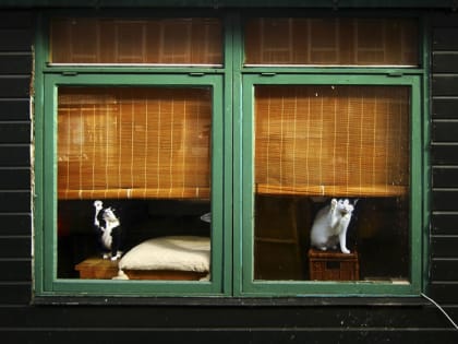 Погода в Твери с 10 по 16 апреля: утром плюс, ночью плюс, но заморозки еще возможны