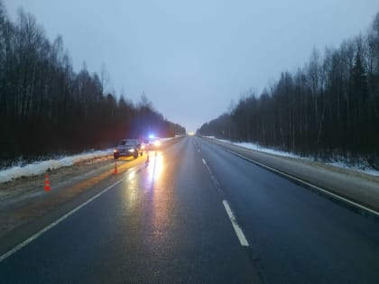 На трассе М9 под Ржевом сбили пешехода