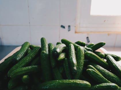 Огурцы в Тверской области за неделю подорожали почти на 19%