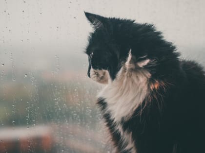 Прогноз погоды в Твери: потеплеет до плюс 10 градусов, но дожди пока не прекратятся