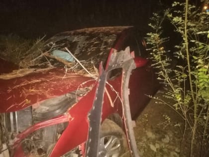 В Тверской области водитель сбежал с места ДТП, бросив раненных пассажиров