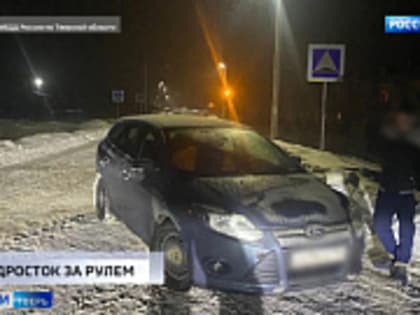 Житель Тверской области предстал перед судом за экстремистскую фотографию