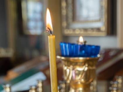 Путин поручил Шойгу ввести на Рождество режим прекращения огня в зоне СВО