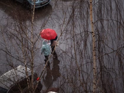 Погода в Тверской области: ожидаются сильные дожди