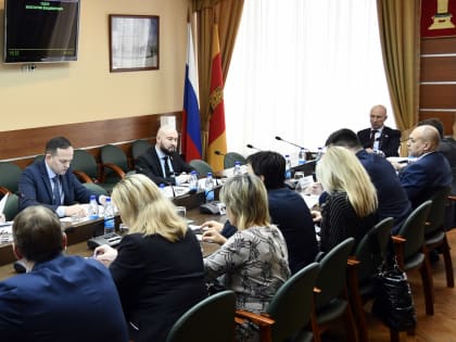 Комитет по бюджету и налогам рассмотрел итоги экспертно-аналитического мероприятия