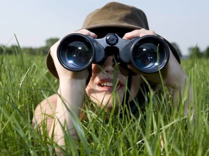 Обнаружен еще один участок сельхозземли, заросший деревьями и кустами