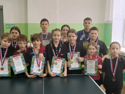 Соревнования по настольному теннису