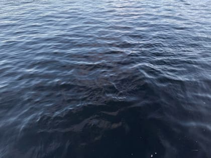 В Тверской области утонул рыбак