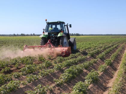 Сельхозтоваропроизводители Тверской области получат региональную поддержку в 2025 году