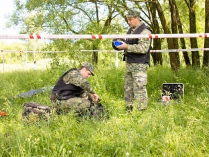 Тело мужчины найдено в лесу под Бежецком