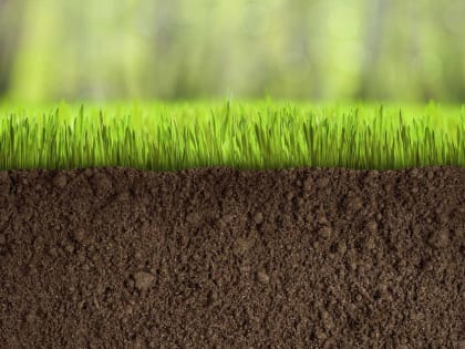 У ООО "Новая жизнь"  заросли сорняками более 60 гектаров земли