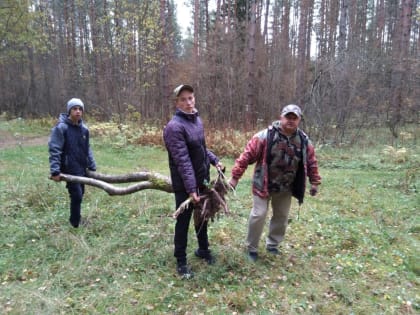 В Зубцовском районе прошла акция «Живи, лес!»