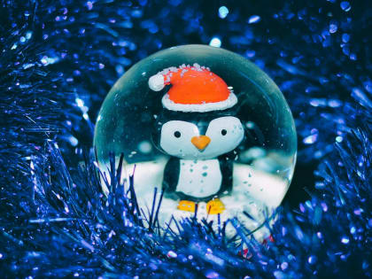 Погода в Твери сегодня: пришли первые дожди и туманы 2023 года