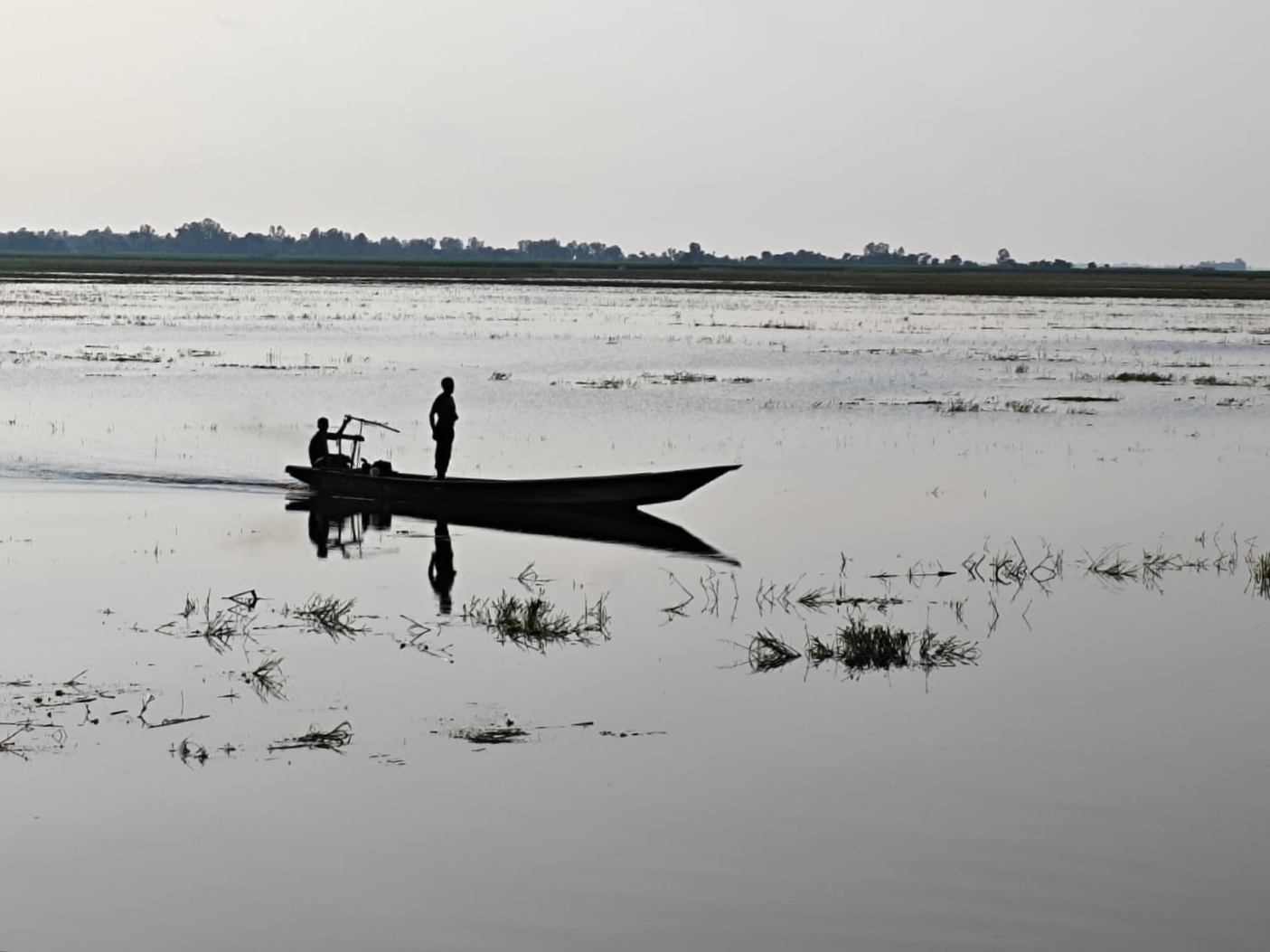 Boy in the Boat