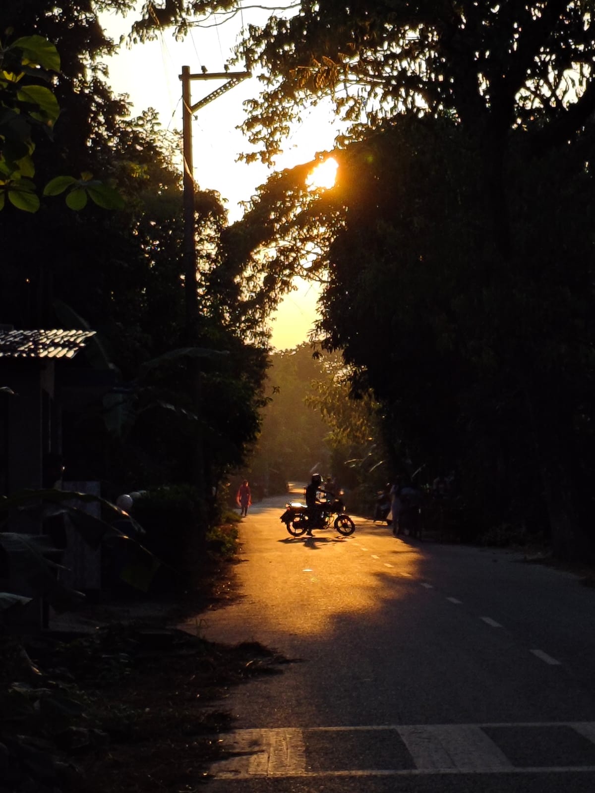 Bike Ride