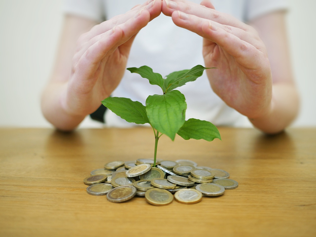 Money-Wealth? The Key Differences That Can Change Your Life