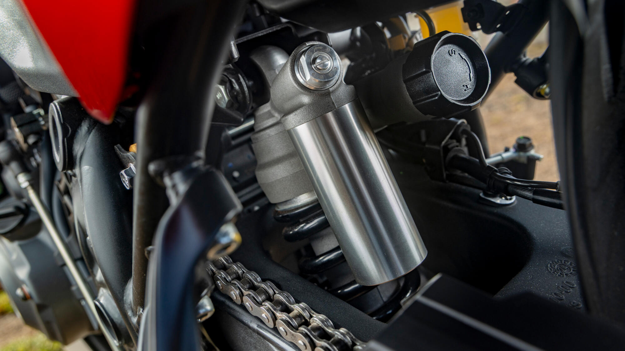 תמונה מתוך הכתבה