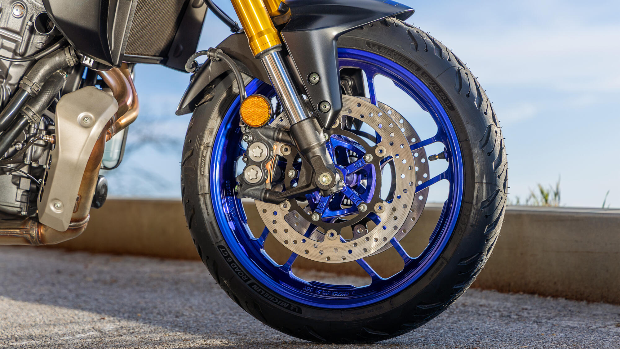 תמונה מתוך הכתבה