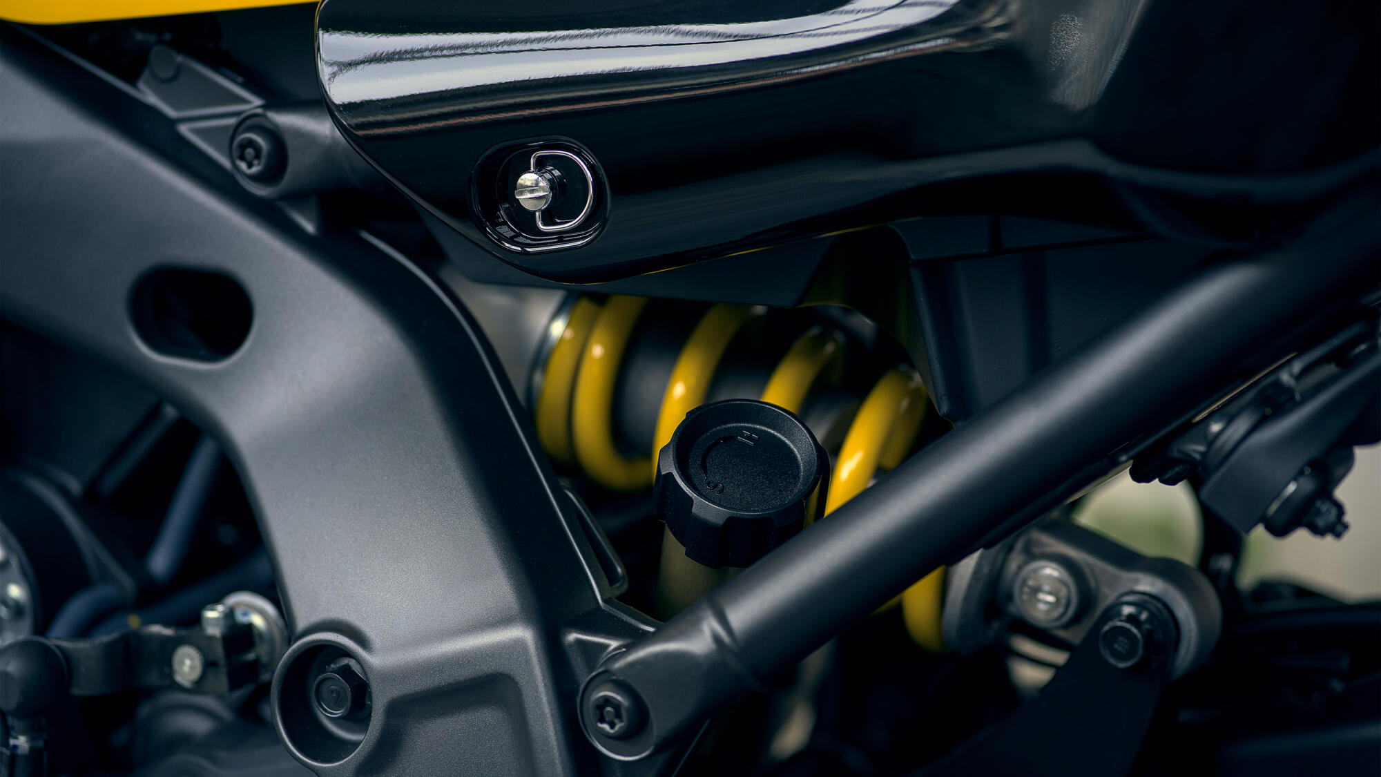 תמונה מתוך הכתבה