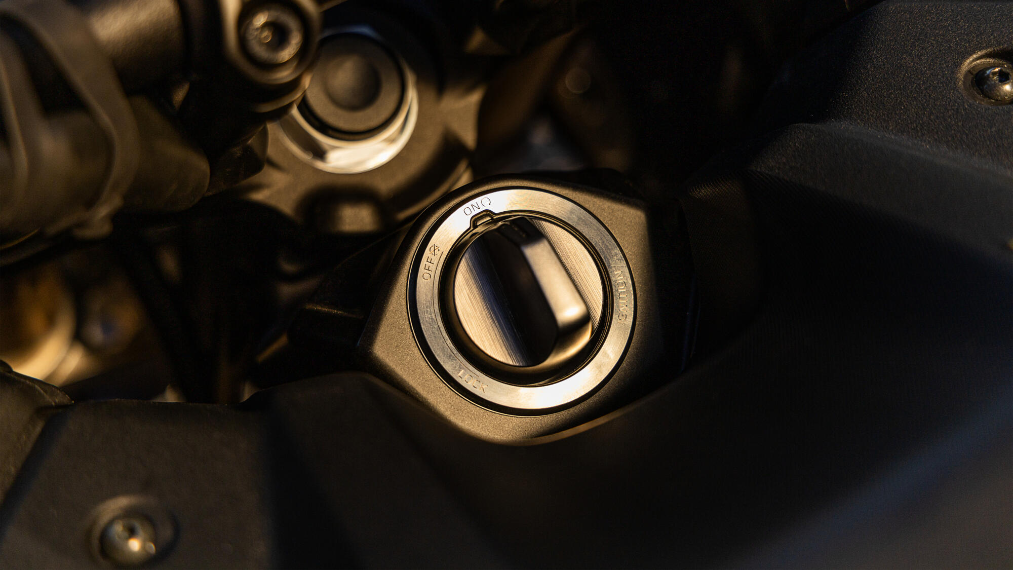 תמונה מתוך הכתבה