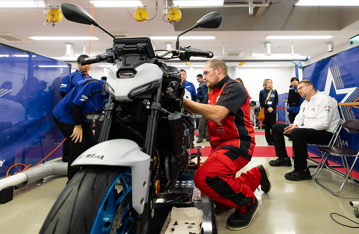 תמונה מתוך הכתבה