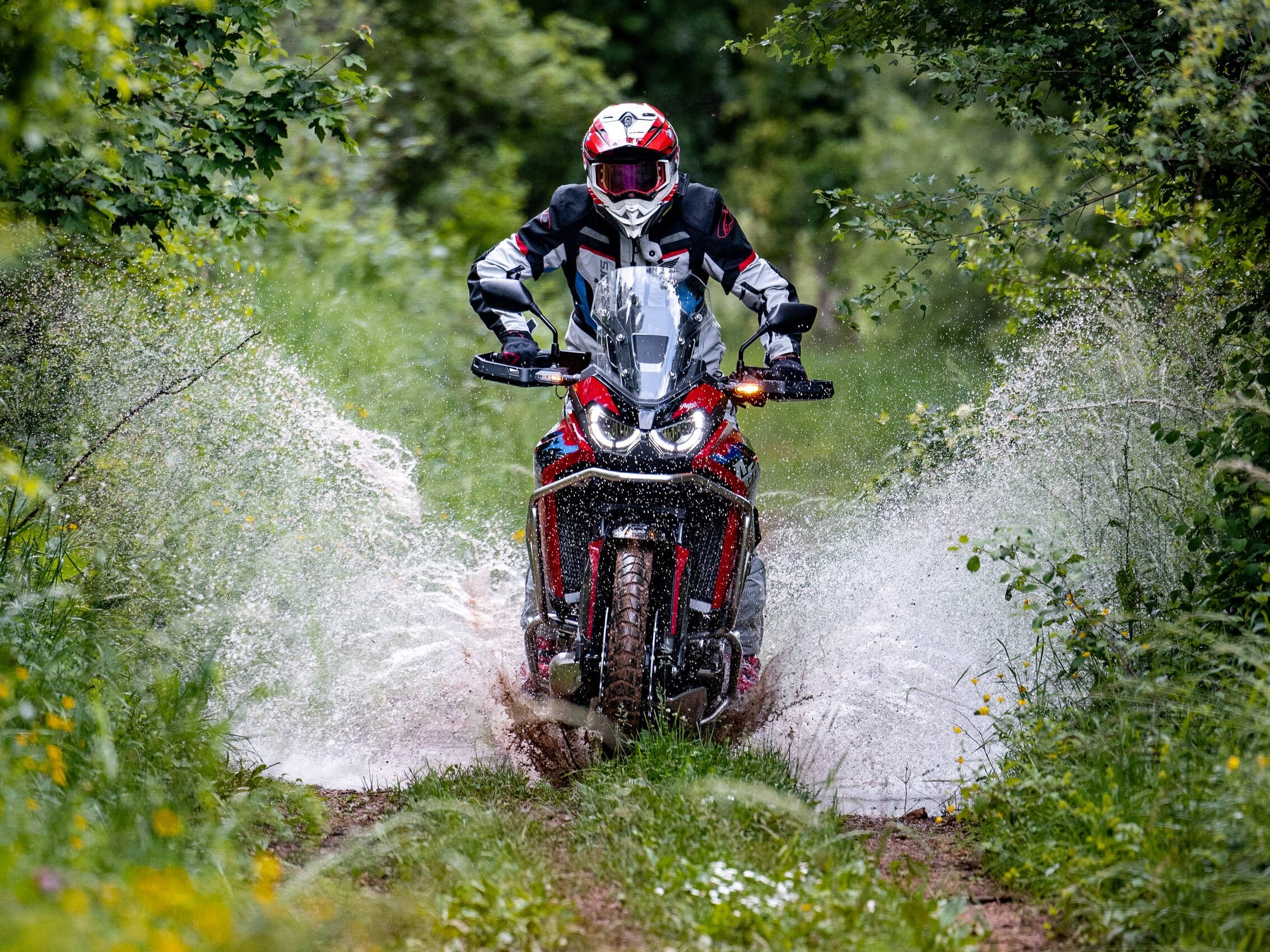 הונדה מציגה: אפריקה טווין 2026 - משפחת האדוונצ'ר מתחדשת