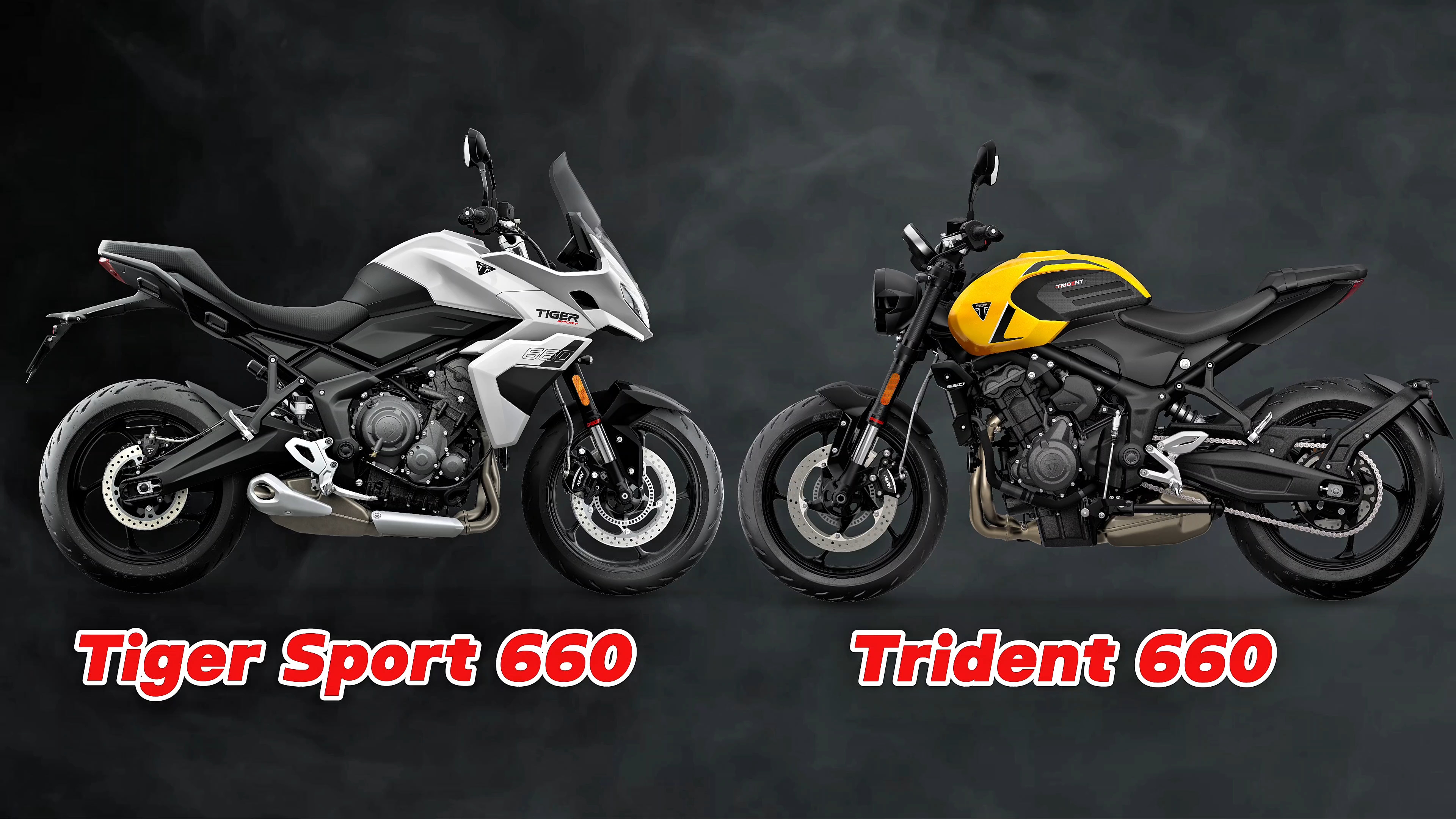 טריומף מציגה: טרידנט ו-טייגר ספורט 2026