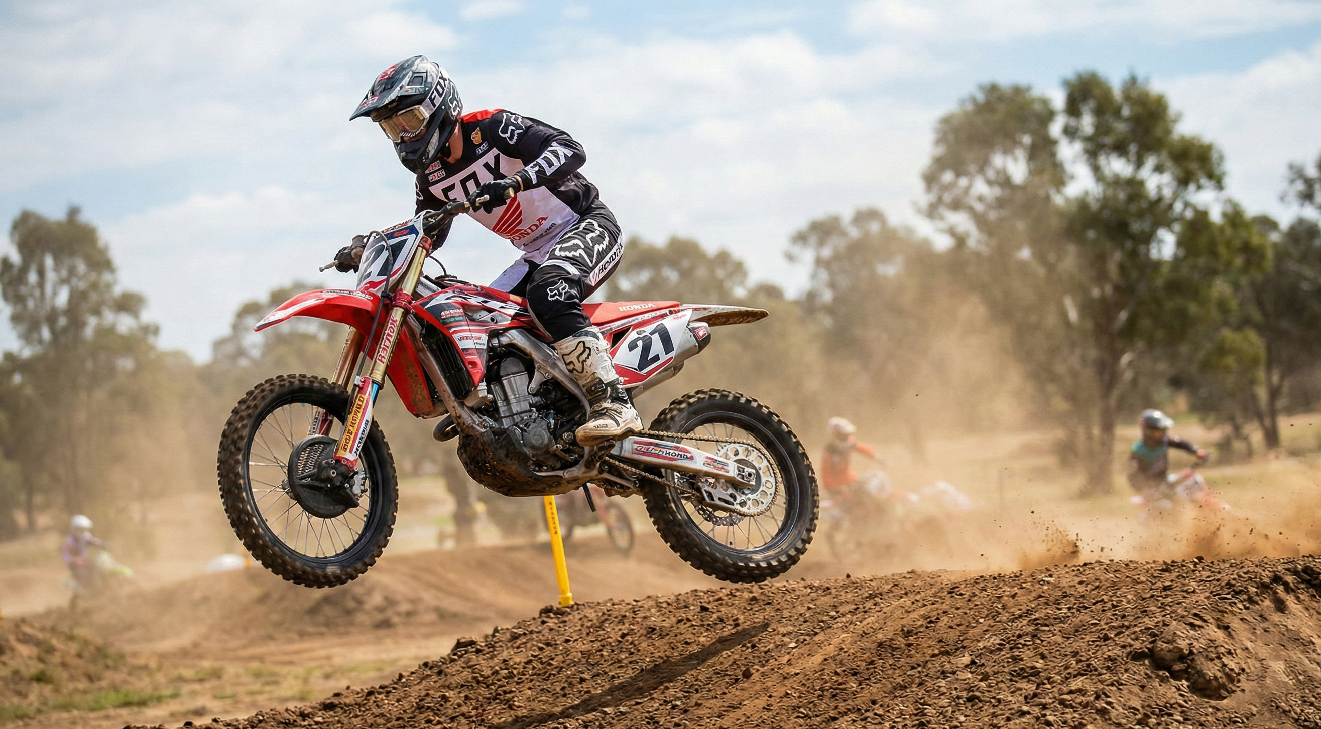 רישוי אפור: כרוניקה של יד ימין נותנת ויד שמאל לוקחת 2016-2026