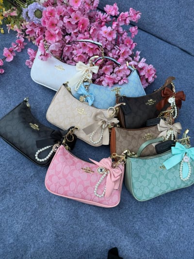 Coach Teri Bag