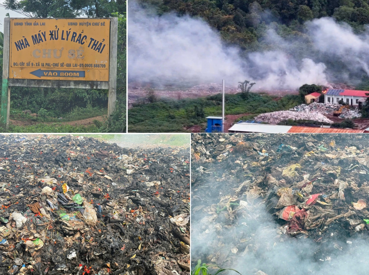 Gia Lai: Khói từ những bãi rác - Khi hành vi đốt rác trái phép đi ngược mục tiêu phát triển xanh Gia Lai: Khói từ những bãi rác - Khi hành vi đốt rác trái phép đi ngược mục tiêu phát triển xanh
