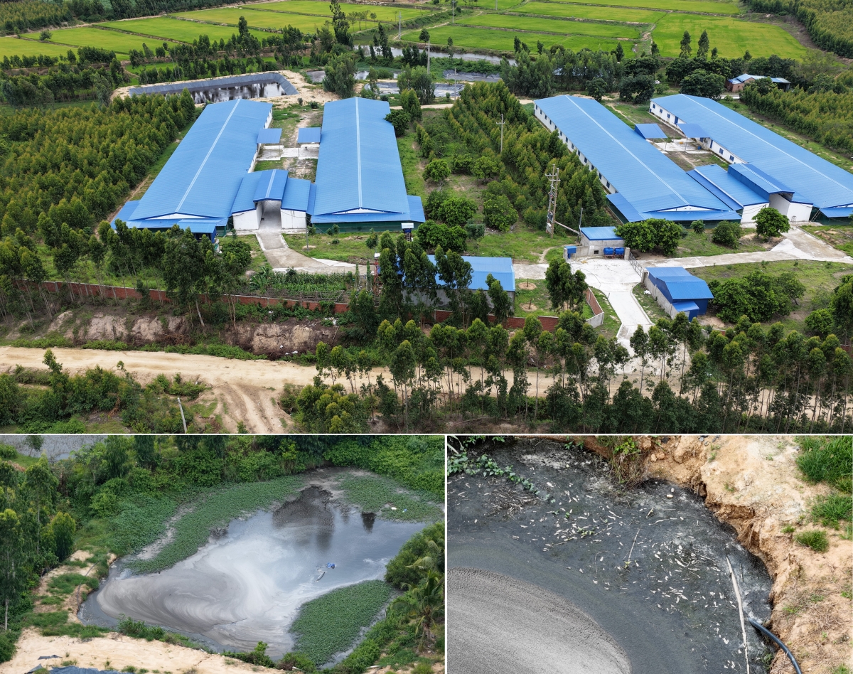 Gia Lai: Cần nâng cao trách nhiệm bảo vệ môi trường trong chăn nuôi, góp phần thúc đẩy ngành công nghiệp môi trường Gia Lai: Cần nâng cao trách nhiệm bảo vệ môi trường trong chăn nuôi, góp phần thúc đẩy ngành công nghiệp môi trường