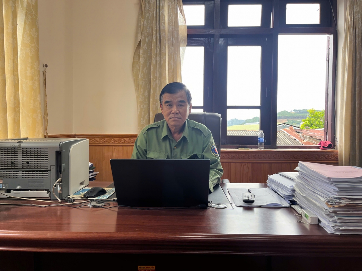 Đơn Dương tăng cường giữ rừng, phục hồi hệ sinh thái và phát triển rừng bền vững Đơn Dương tăng cường giữ rừng, phục hồi hệ sinh thái và phát triển rừng bền vững