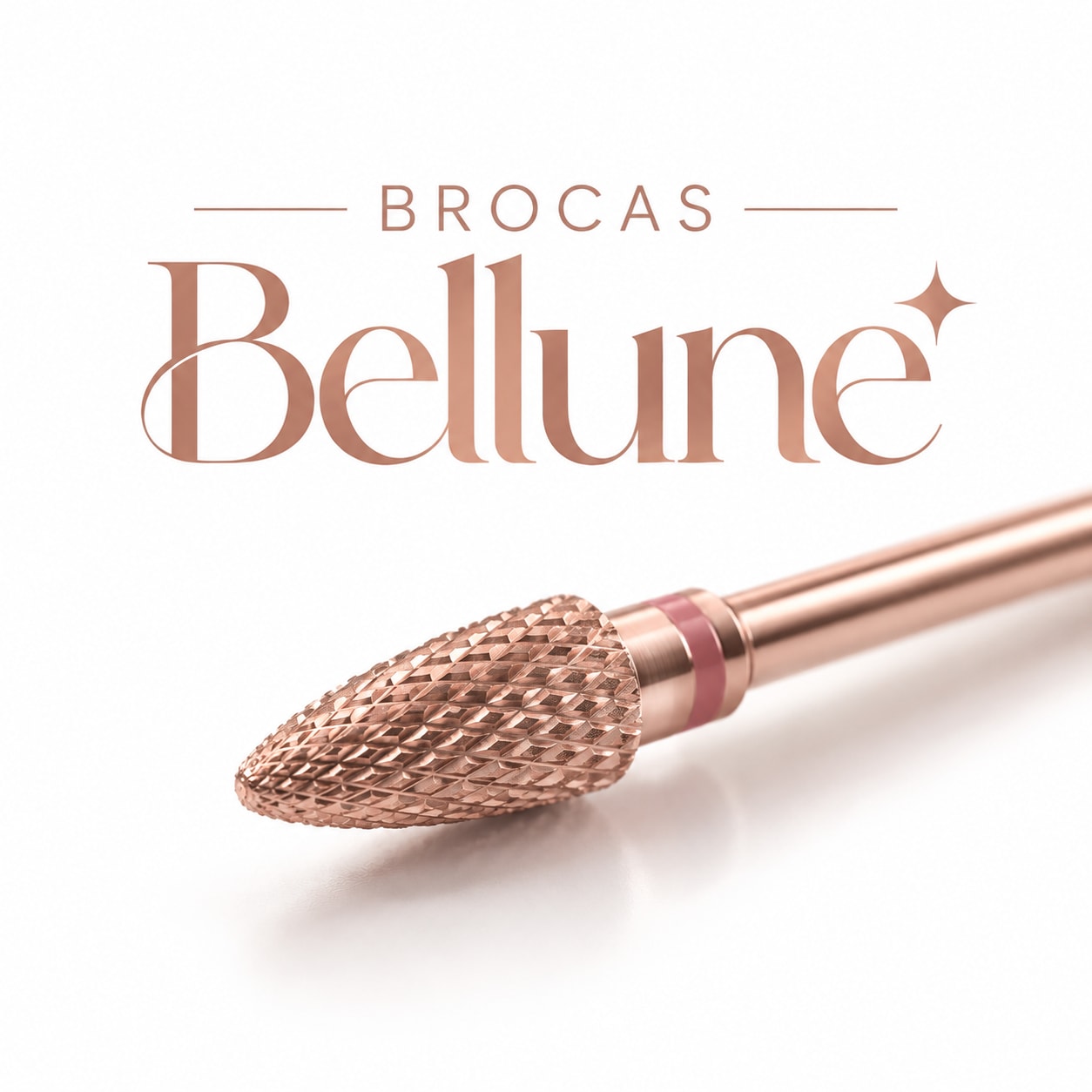 Brocas Bellune
